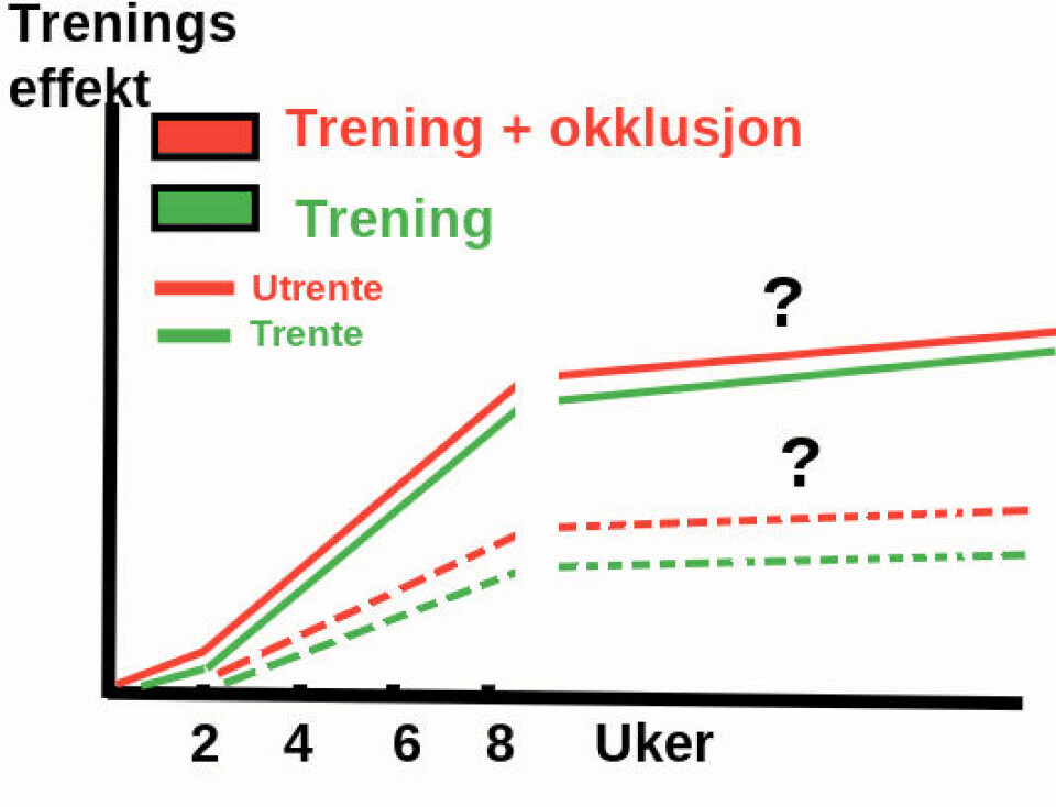 Løpe med okklusjon – nyttig eller potensielt farlig? Figur-3-Okklusjons-treningseffekt-over-tid.jpg