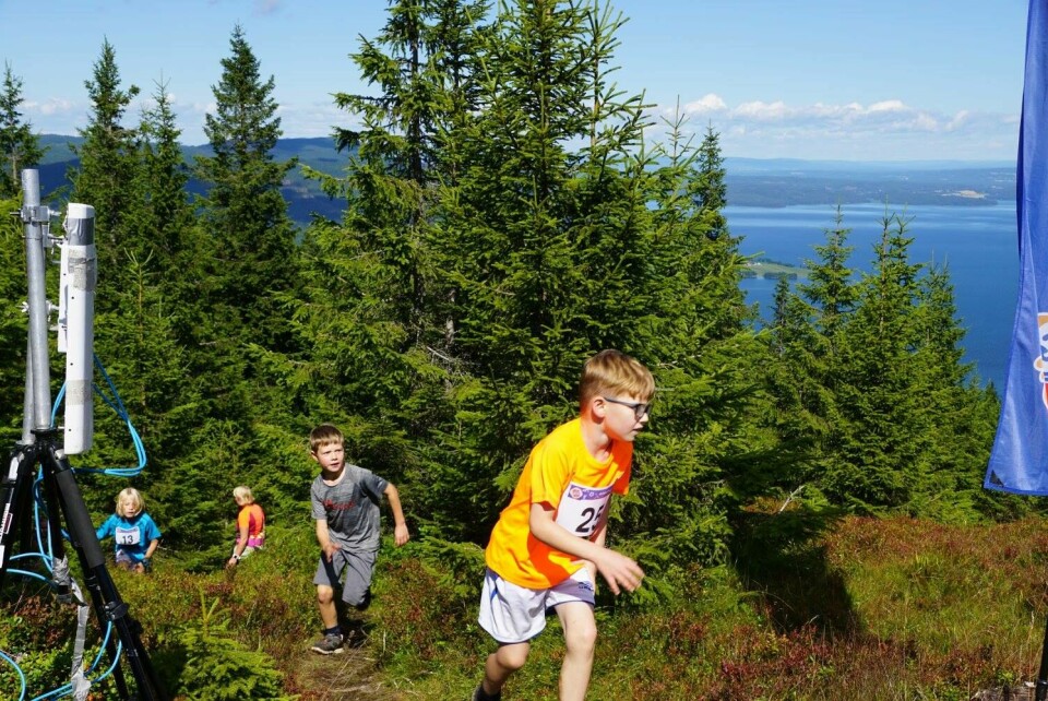 O-verdensmester Kinneberg til topps i Åneskøl Opp Olav_Grrønnvik_barneløpet.jpg