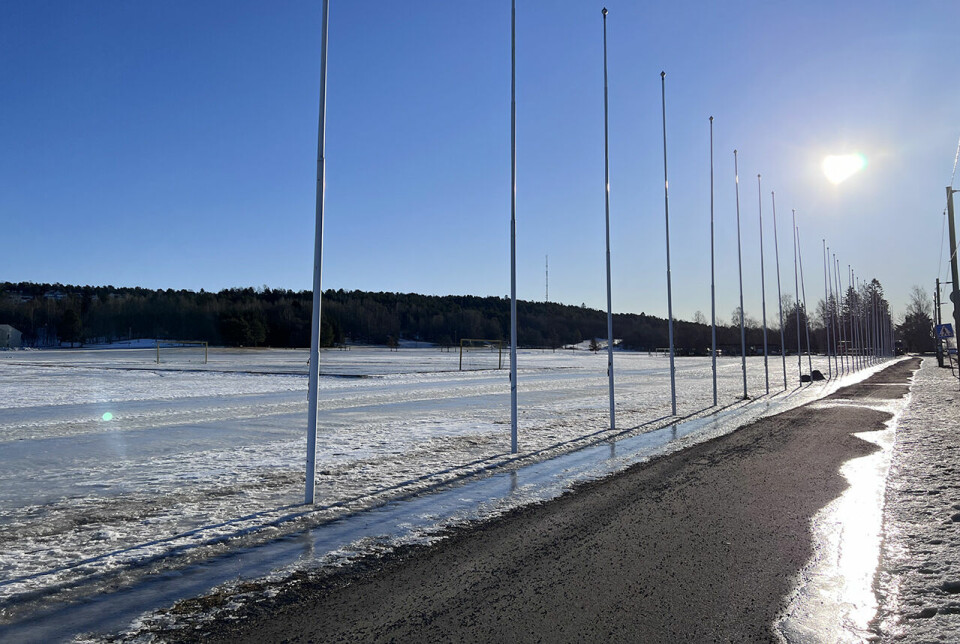 Vår i emning: Det kan være vanskelig å snike seg til en løpetur, men det er alltid verdt det. (Foto: Cristina Pulido Ulvang) Vår i emning: Det kan være vanskelig å snike seg til en løpetur, men det er alltid verdt det. (Foto: Cristina Pulido Ulvang)