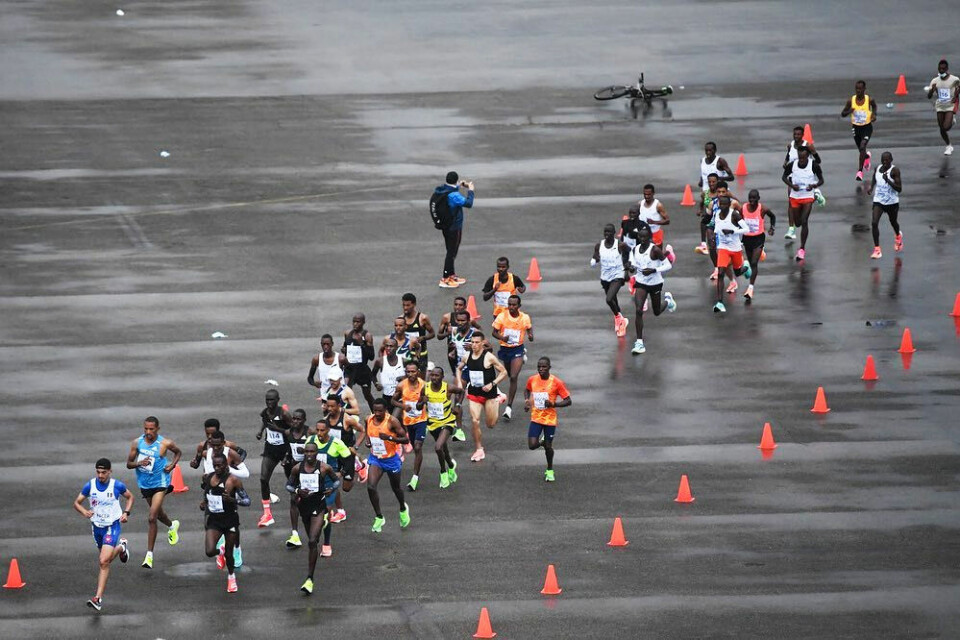 23 menn under 2.10 og 17 kvinner under 2.30 i elitemaratonløp i Toscana Tuscany-felt-foto-Tuscany-Training-Camp.jpg