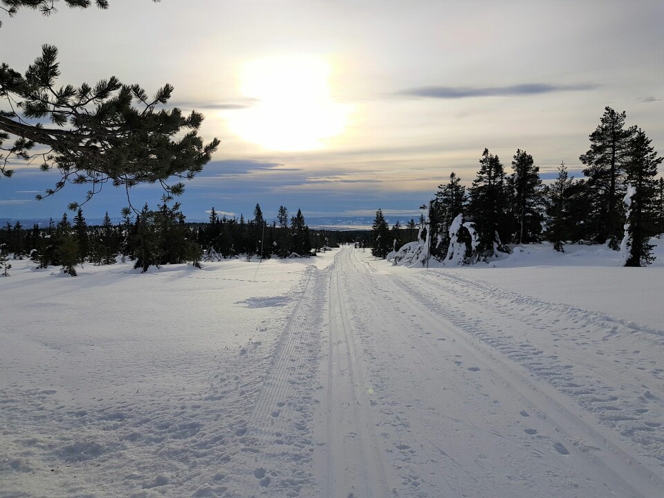 Den 45. utgaven av Stenfjellrunden med KM langdistanse på lørdag Løypas høyeste punkt.jpg