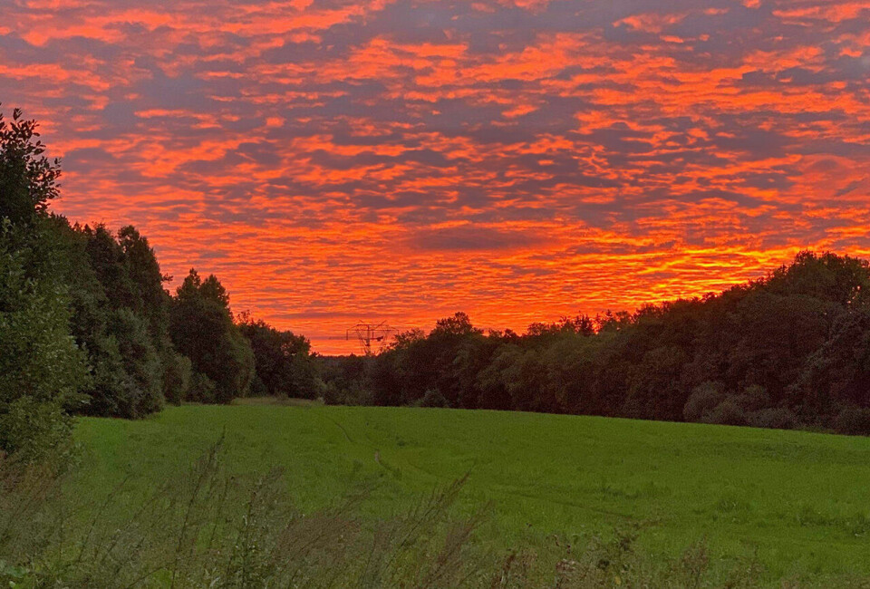 Det nærmer seg veldig Trondheim maraton nå! (Foto: Siri Slotterøy Johnsen) Det nærmer seg veldig Trondheim maraton nå! (Foto: Siri Slotterøy Johnsen)