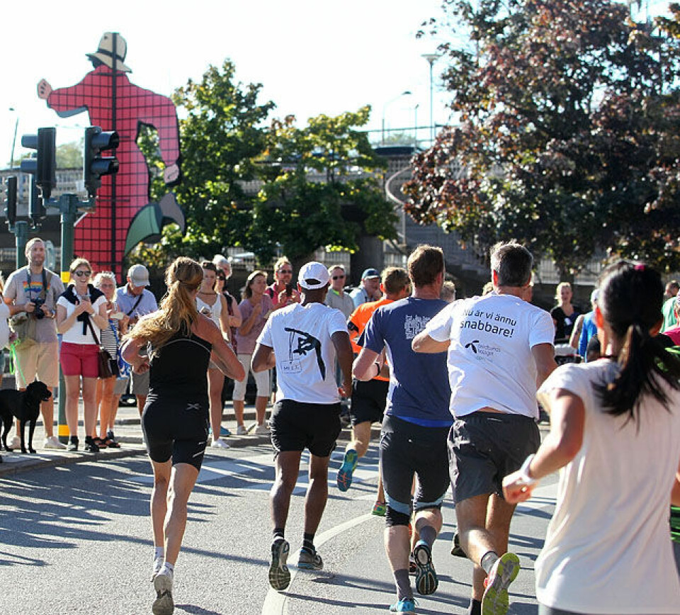 Pernilla Epland ble nr. 8 i Stockholm Halvmarathon Loeper_feil_vei_roed_ruta_A20G3682.jpg
