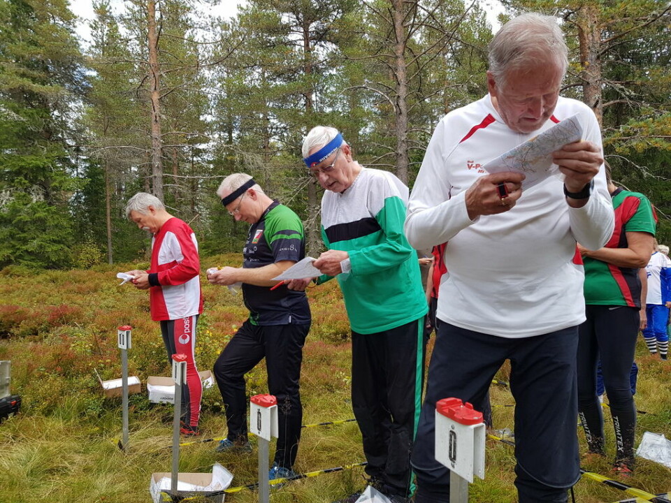 Dypt konsentrerte o-løpere mens de venter på startsignalet. Dypt konsentrerte o-løpere mens de venter på startsignalet.