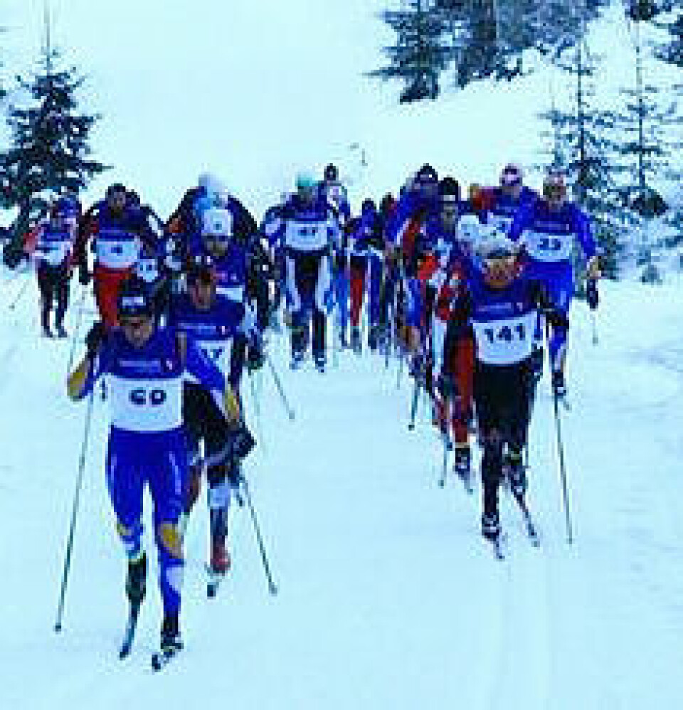 Supre forhold for Tolver'n Tolvern_ingress2013