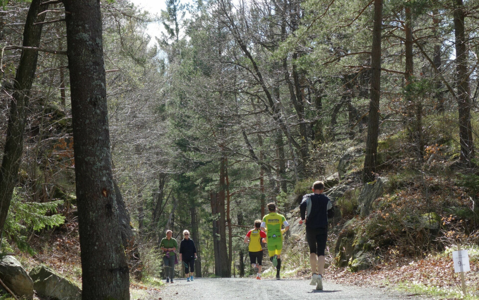 Gode stemninger i Fevik halvmaraton DSC03715SmukDagVed9km.jpg