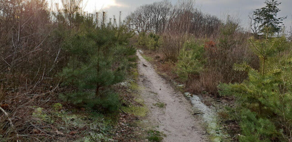 BLOGG: Bello Gallico 100 Miles - nå er jeg unik