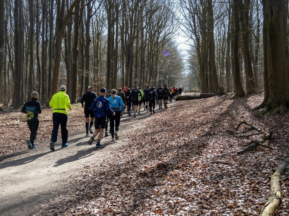 Ola Skage Sander anbefaler Danmarks ældste og hårdeste marathonløb Start.jpg