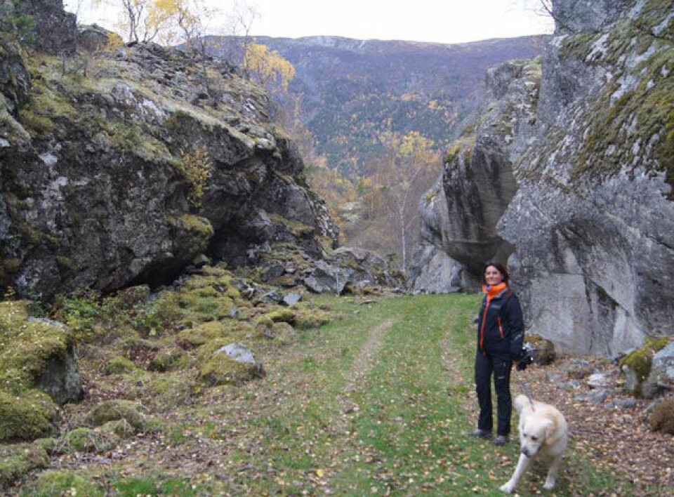 Thorbjørn Ludvigsen 'heilt Konge' i Kongevegløpet Galdane Rundt 640_Frå Galdanesida.Foto EGK.jpg