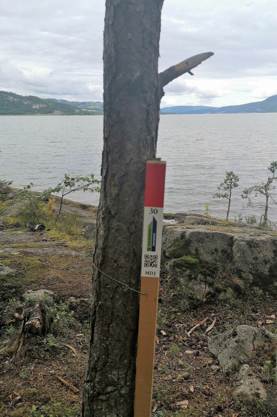 En lang Covid-historie Stolpejakt ved Mjøsa.jpg