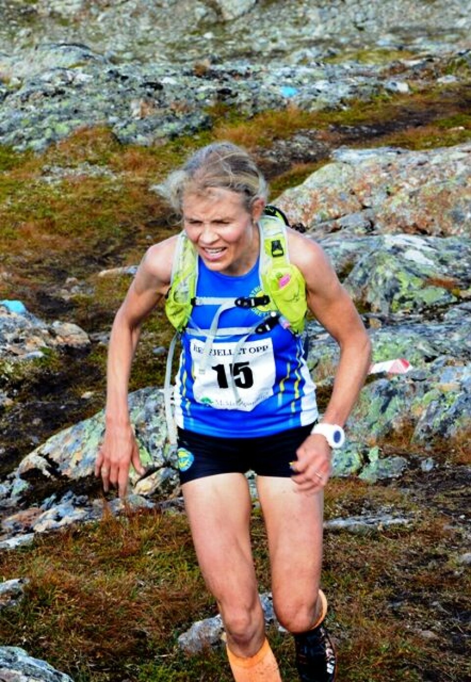 Resfjellet opp med Nevin og Myrmæl Helgestad på topp Anne Nevin