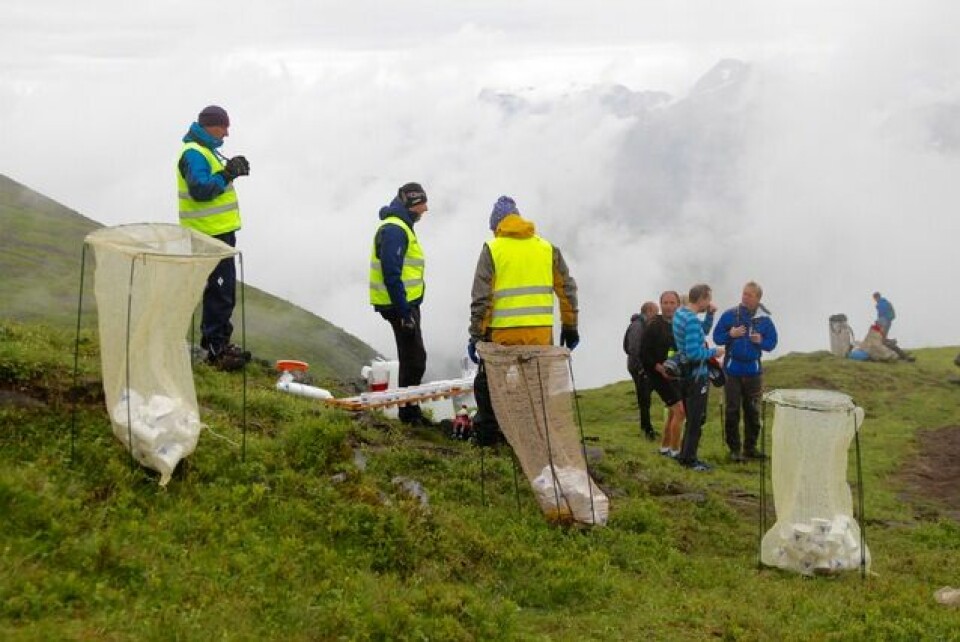 Thorbjørn Thorsen Ludvigsen seiret i Saudehornet Rett Opp Soeppel