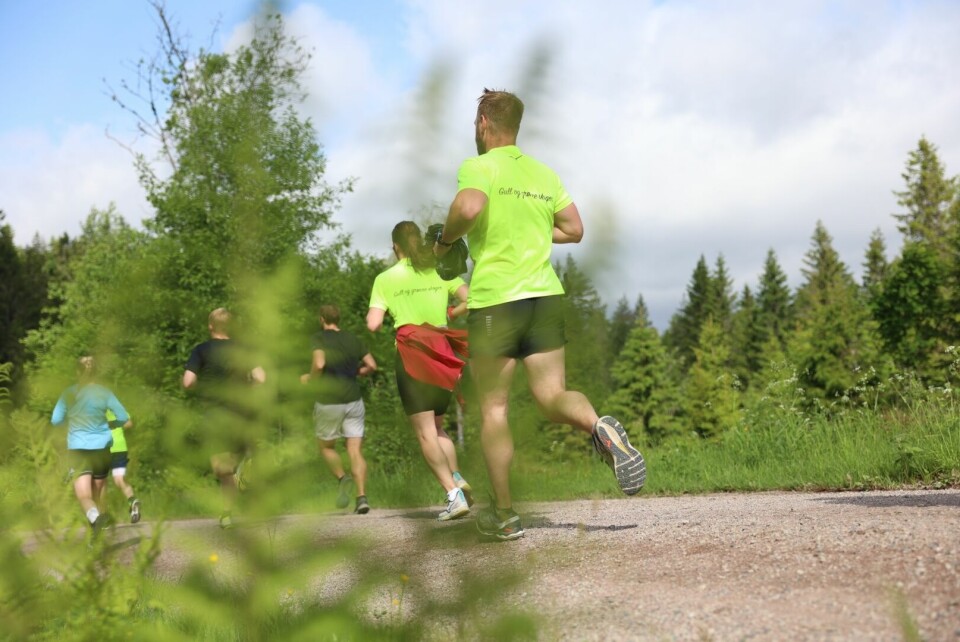Nordmarka Skogsmaraton fikk ganske så gode løpeforhold søndag formiddag. Det ble løpt halvmaraton, maraton og ultra (63,3 km). (Foto: Tom-Arild Hansen) Nordmarka Skogsmaraton fikk ganske så gode løpeforhold søndag formiddag. Det ble løpt halvmaraton, maraton og ultra (63,3 km). (Foto: Tom-Arild Hansen)