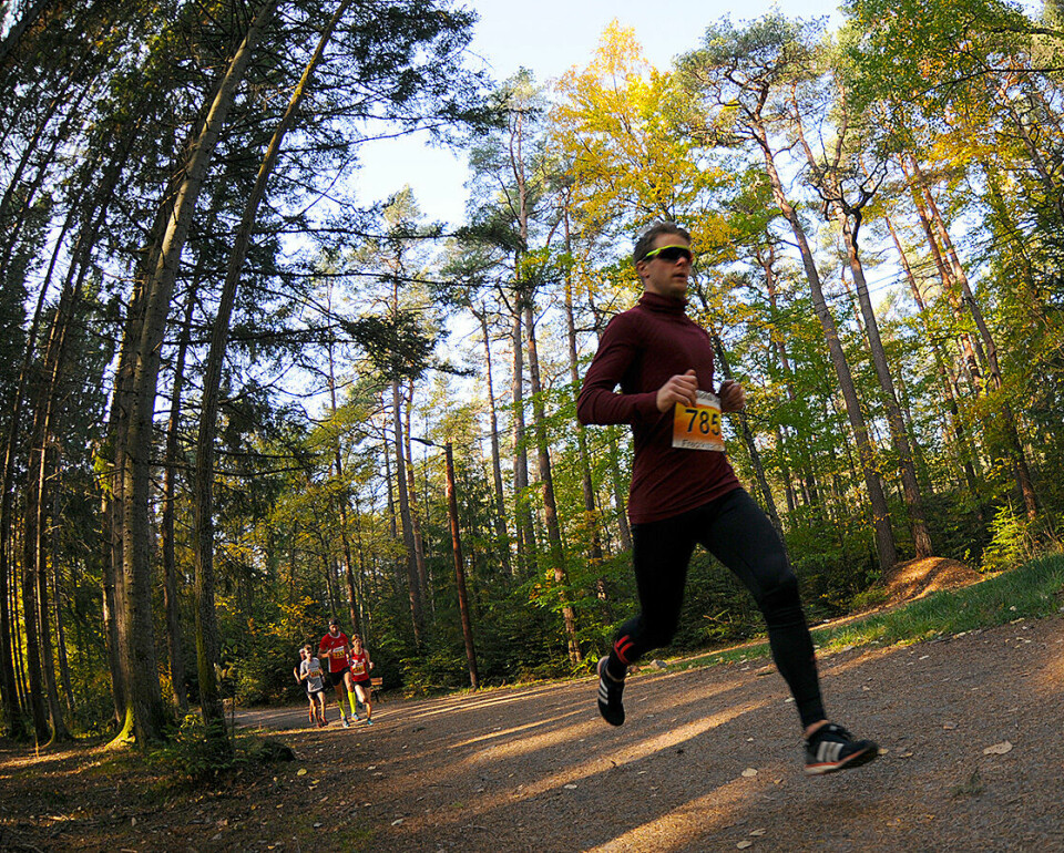 Sondre Fylling og Therese Bøkeid vant Fredrikstadmarka Rundt D30_6144_2.jpg