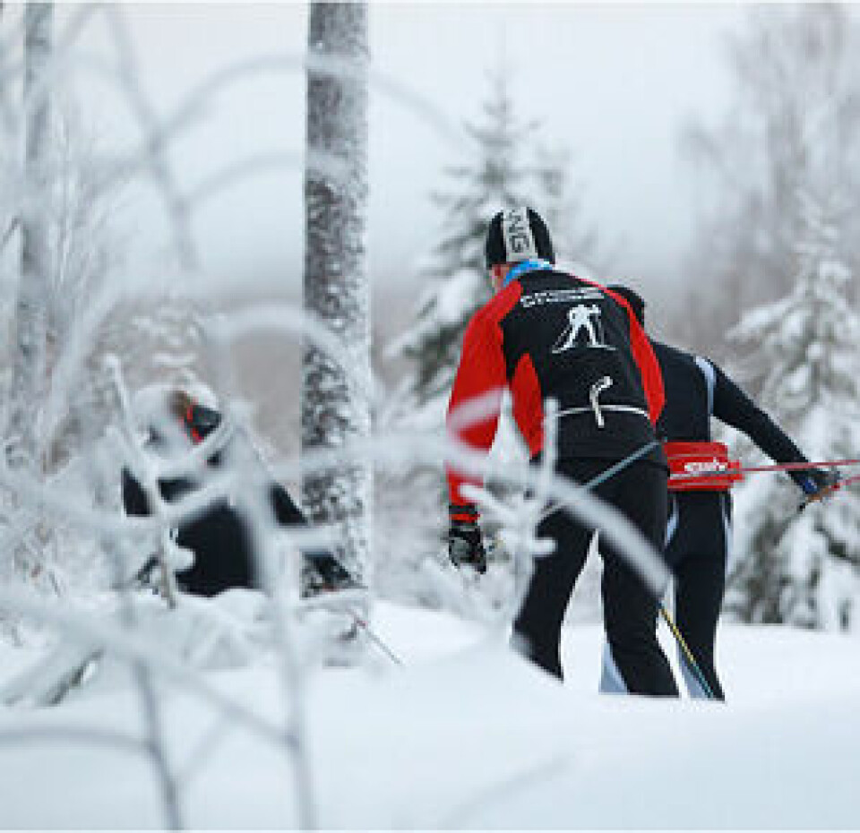 Den store Skimaraton-kavalkaden Ingress_Bakfra_vinterdag_A20G6181