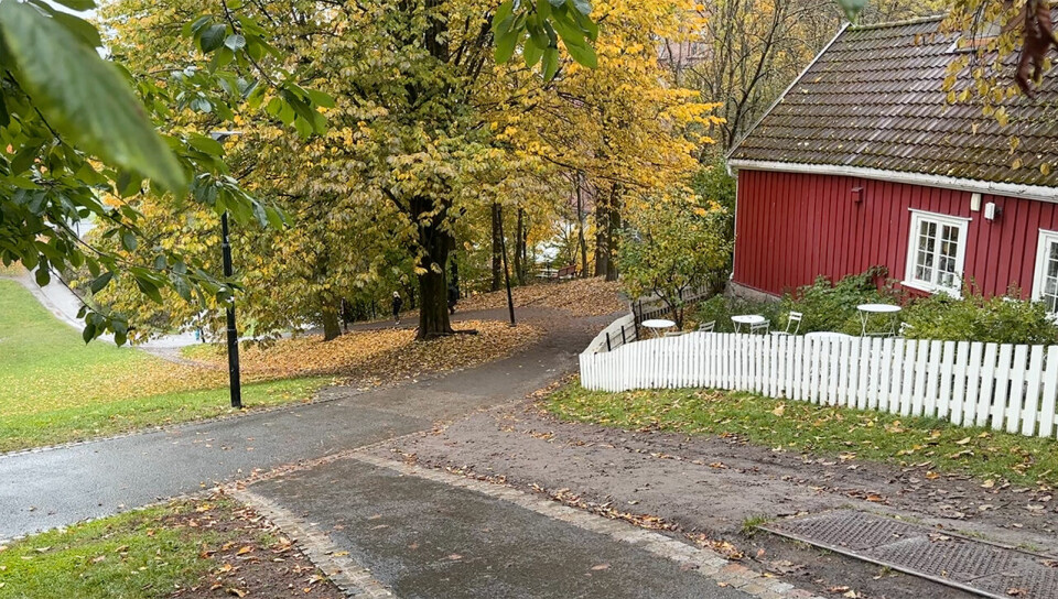 2500 deltakere løp årets Rosa sløyfe-løp i Oslo bakken-honse-lovisa.jpg