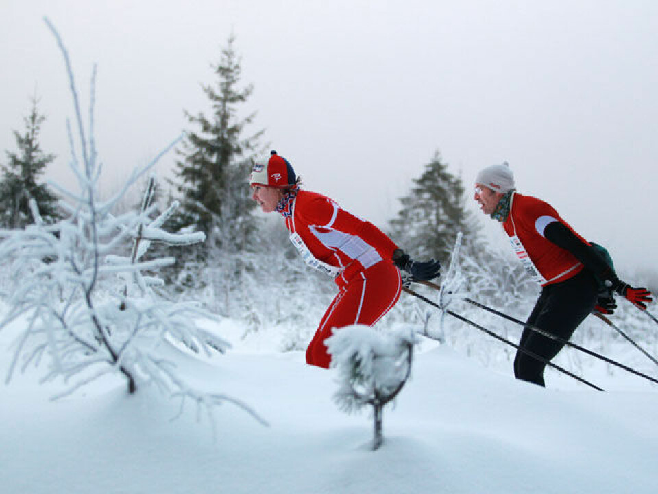 Den store Skimaraton-kavalkaden