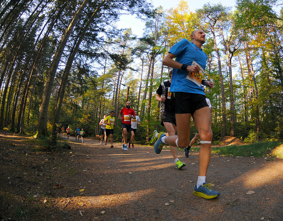 Sondre Fylling og Therese Bøkeid vant Fredrikstadmarka Rundt D30_6164_2.jpg