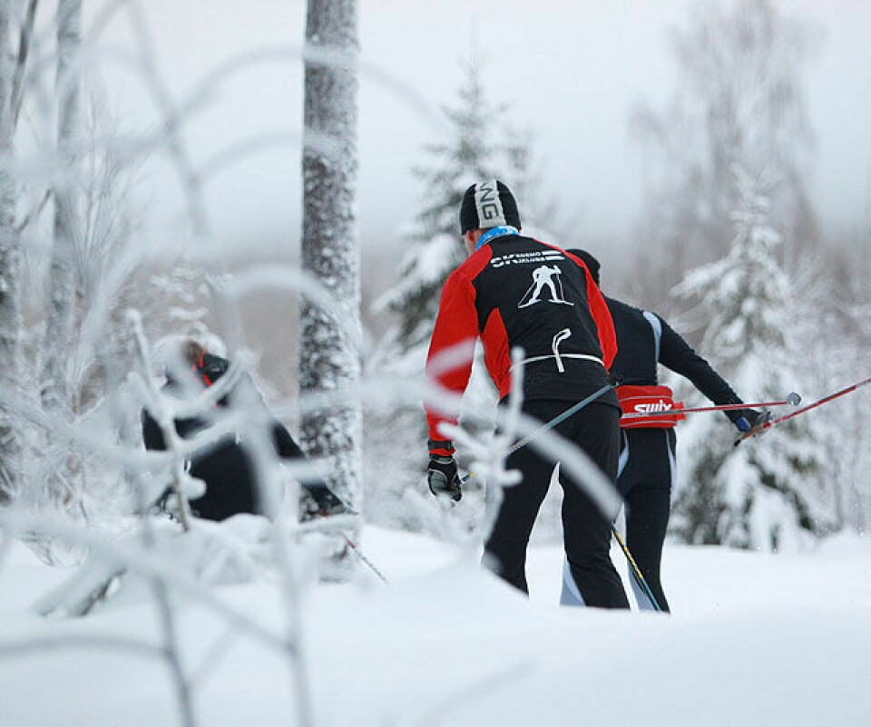 Den store Skimaraton-kavalkaden