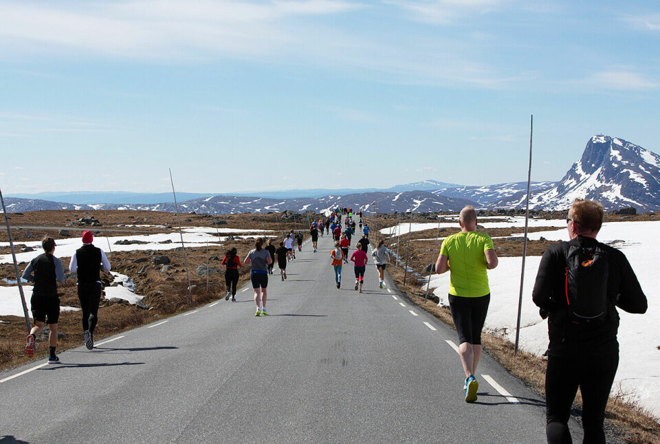 Lørdag ble den 41. utgaven av Fjellmaraton på Beitistølen arrangert. (Alle foto: arrangøren) Lørdag ble den 41. utgaven av Fjellmaraton på Beitistølen arrangert. (Alle foto: arrangøren)