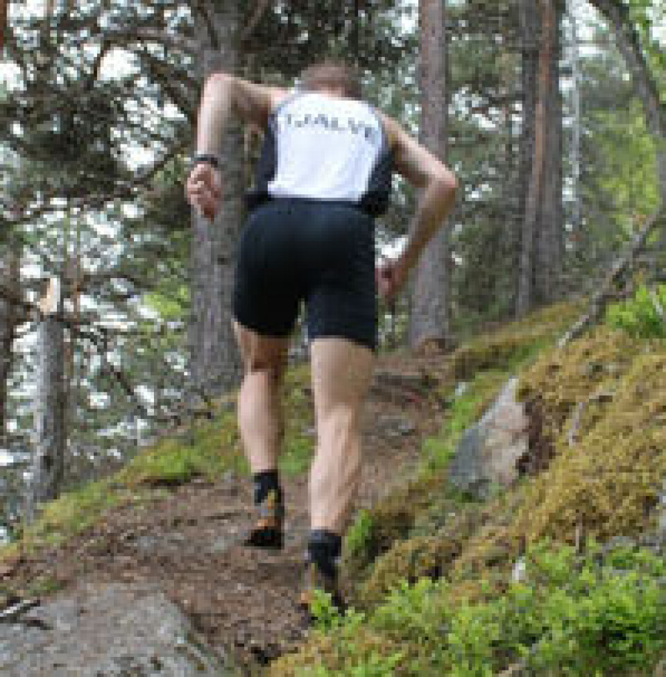 Opptur for Storehaugen Opp 200_Ingress_Oyvindvistealleryggen_2011_06_02_StorhaugenOpp