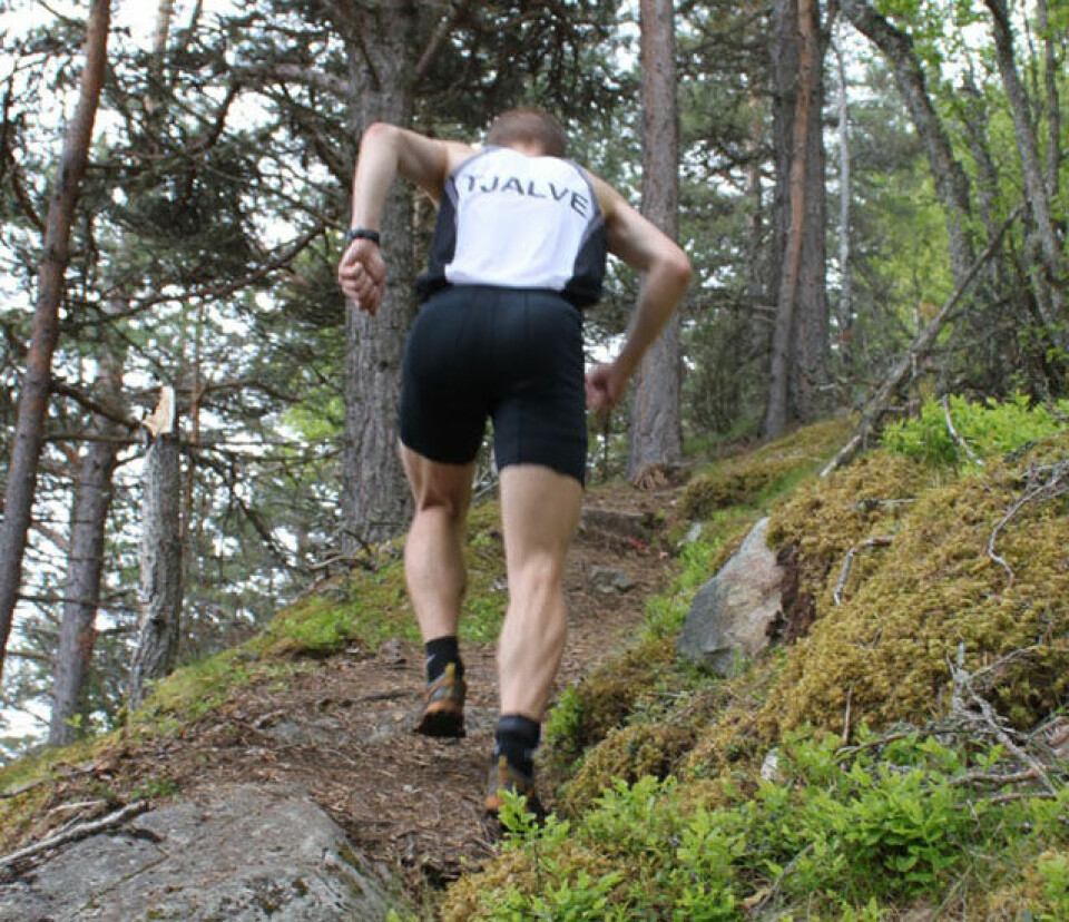 Opptur for Storehaugen Opp 640_Oyvind_vistealleryggen2011_06_02_StorhaugenOpp 003