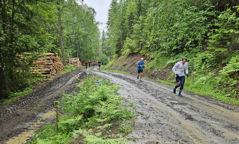 I fjor var forholda i traseen til Brandbukampen Opp heller tunge, prega som de var av regn og tømmerdrift. (Foto: MBUIL / Ole Bjerke) I fjor var forholda i traseen til Brandbukampen Opp heller tunge, prega som de var av regn og tømmerdrift. (Foto: MBUIL / Ole Bjerke)