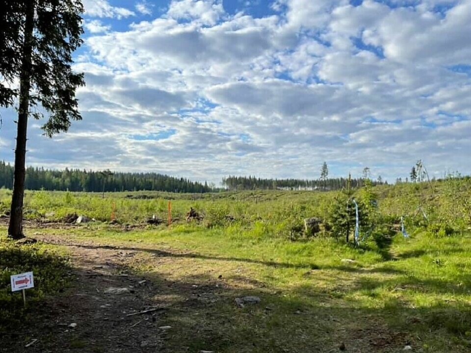 Kondiscupen i Elverum med over 100 deltakere tre uker på rad Hompetitten sti.jpg