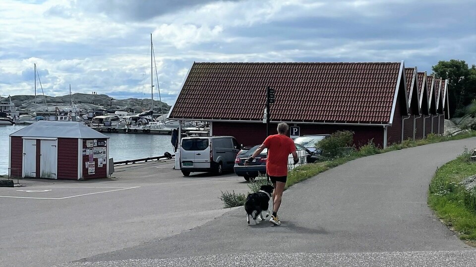 Bjørnulf (61) fikk med seg både Thero og Brita på km-sanking i juli Bj¢rnulf Borge samler km.jpg