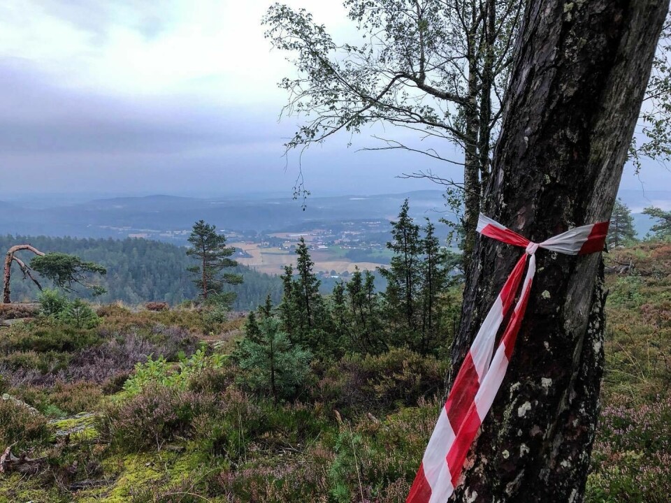 Høyjord rundt og rundt: Vår opplevelse som ny løpsarrangør Merking.jpg