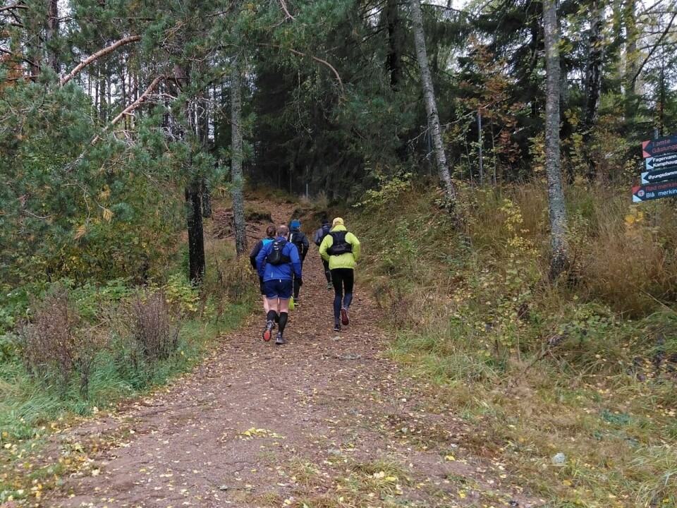 15 løpere fullførte Nordmarka Ultra Challenge, men ingen på 100 eller 200 km Ut-fra-start-26km (1280x958).jpg