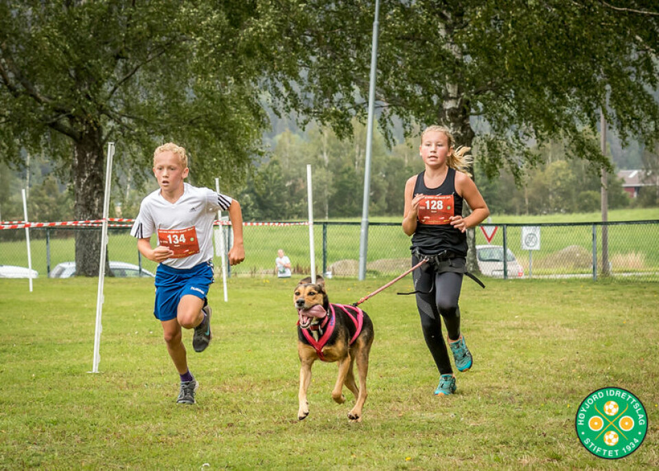 Høyjord rundt og rundt: Vår opplevelse som ny løpsarrangør IMosjopnskllasse_med_hund.jpg