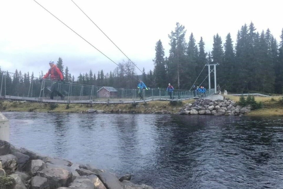 Bèrghem Ultra 100 miles på Hedmarksvidda: Fire år, ingen har fullført Øksnaalva_bru.jpg