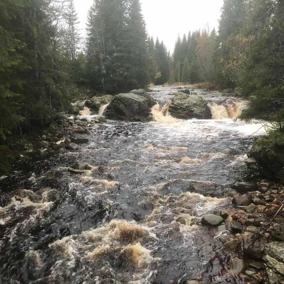 Bèrghem Ultra 100 miles på Hedmarksvidda: Fire år, ingen har fullført Øksnaalva.jpg