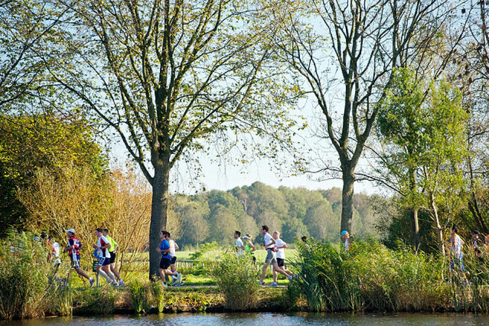 Elise Selvikvåg Molvik ble nr. 9 i Amsterdam Marathon I_det_groenne_fra_elva_.jpg