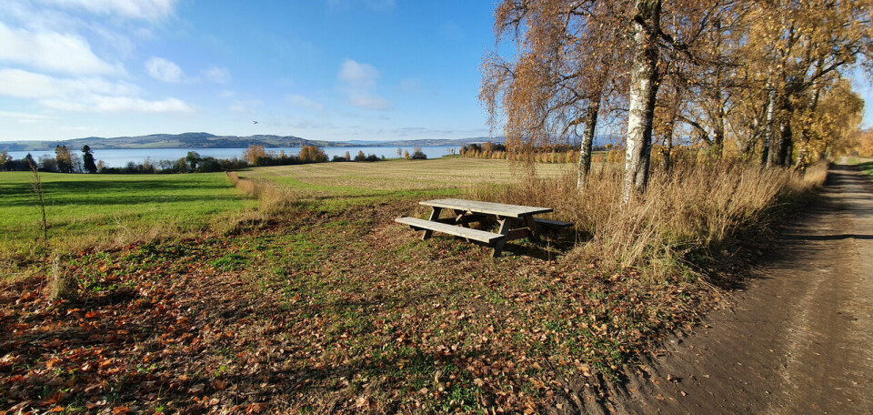 Ottestad løpsfestival for maks. 200 deltakere på søndag Ottestadstien Rundt fotol¢p (22)