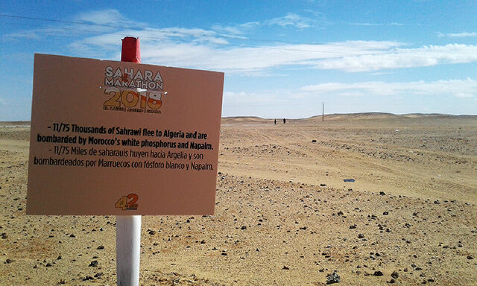 21 skandinaver løp Sahara Marathon i strålende sol og mye vind ph_km_merke_hint_20180226_122531.jpg