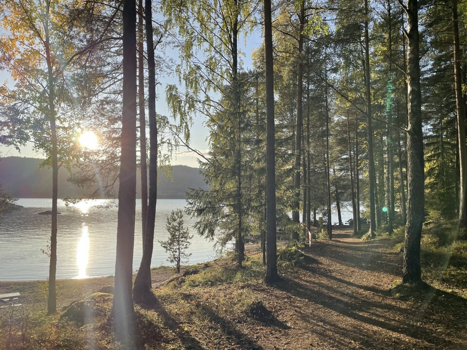 Jo Reistad og Mari Aarseth best i Moskogenløpet H¢stsol.jpg