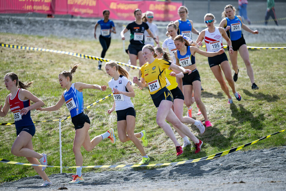 Seniorkvinnene på den første av to runder. Sigrid Alvik i tet her. (Foto: Samuel Hafsah) Seniorkvinnene på den første av to runder. Sigrid Alvik i tet her. (Foto: Samuel Hafsah)