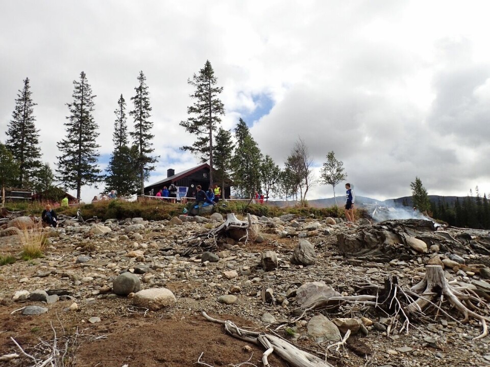 Brynthe og Schjølberg løp seg rett inn på VM-laget P8046570_Angeltjønnhytta (1280x960).jpg