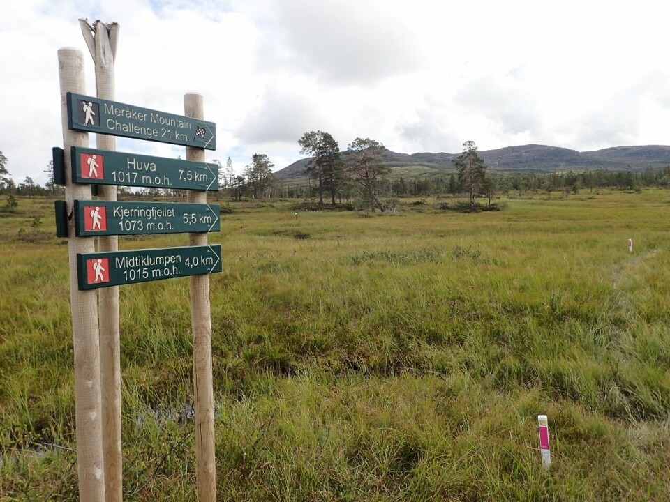 Brynthe og Schjølberg løp seg rett inn på VM-laget P8046572_Start21 (1280x960).jpg