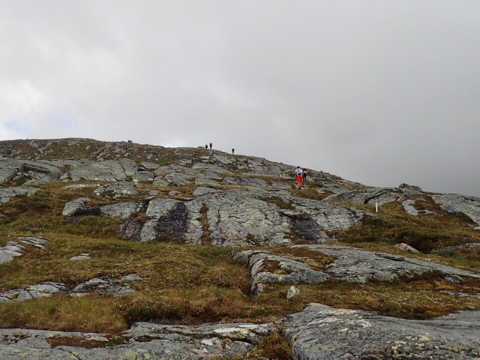 Brynthe og Schjølberg løp seg rett inn på VM-laget P8046582_Midtiklompen (1280x960).jpg