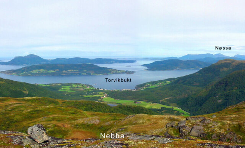 Et lite utsnitt av det panoramaet som møter løperne på lørdag Et lite utsnitt av det panoramaet som møter løperne på lørdag