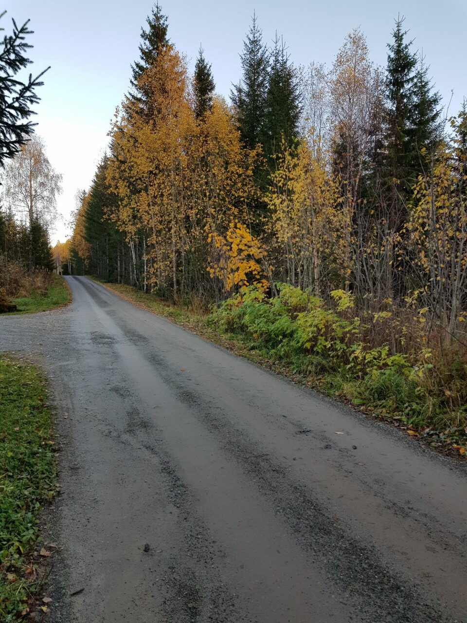 Snøkuten-start på sommerføre i Veldre T¢rre grusveger.jpg