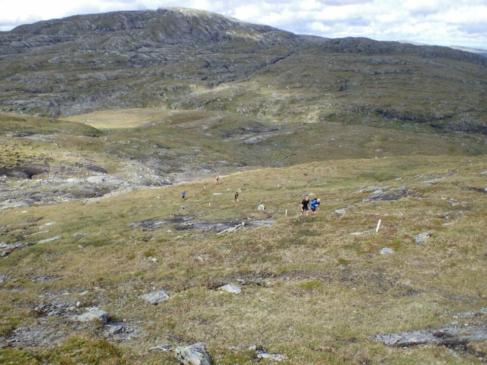 Brynthe og Schjølberg løp seg rett inn på VM-laget P8046604_Flott_Merking (1280x960).jpg