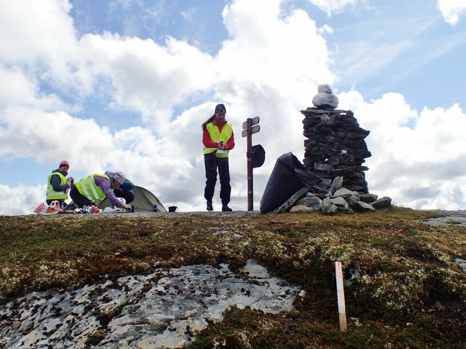 Brynthe og Schjølberg løp seg rett inn på VM-laget P8046605_Huva (1280x960).jpg