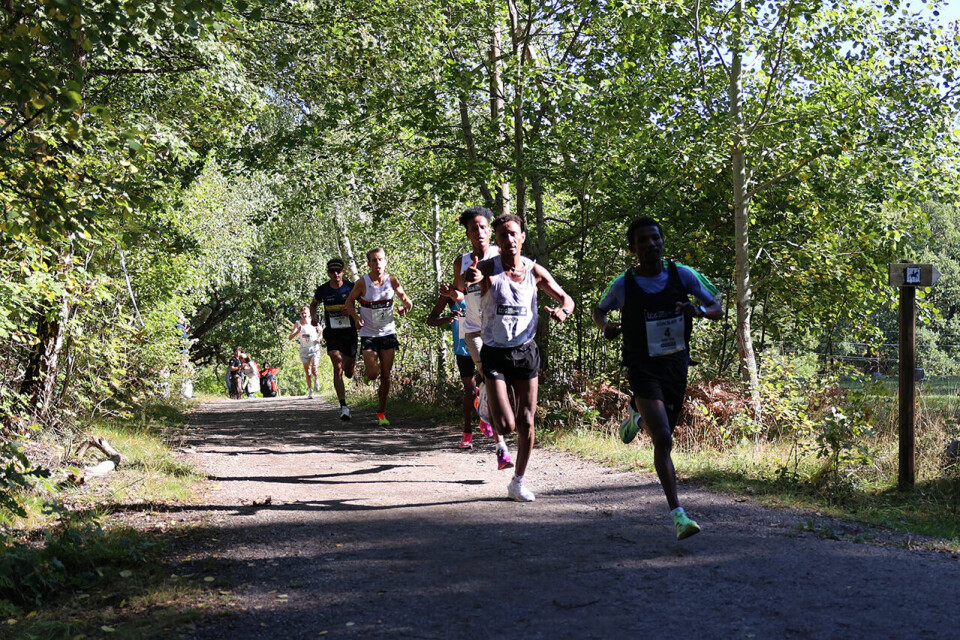 Tom Erling Kårbø og Senay Fissehatsion høyt oppe i Lidingöloppet senay-i-tetgruppa.jpg