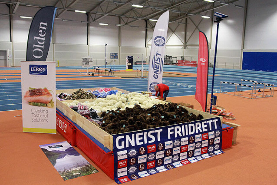 Pingvinlekene 2015 ble Vestlandets største, les reportasjene med bilder IMG_8298