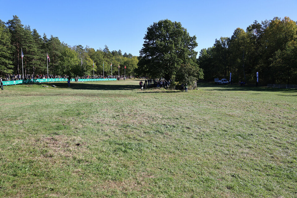 Tom Erling Kårbø og Senay Fissehatsion høyt oppe i Lidingöloppet startsletta.JPG