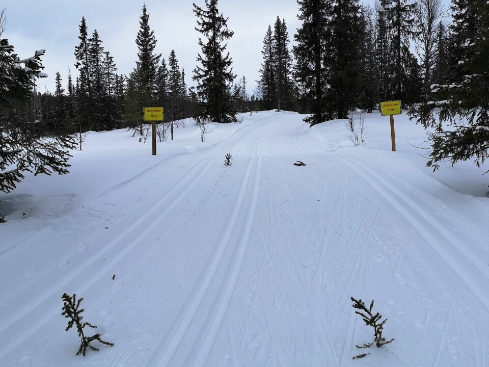 Kristian Moen Bonden (14) best i Kittillirennet i Trysil Stakesone.jpg